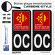 2 Stickers plaque immatriculation Auto OC Occitanie - LT Carbone-Style