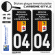 2 Stickers plaque immatriculation Auto 04 Région Sud - LT Carbone-Style