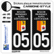 2 Stickers plaque immatriculation Auto 05 Région Sud - LT Carbone-Style