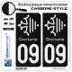 2 Stickers plaque immatriculation Auto 09 Occitanie Croix - Carbone-Style