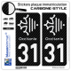 2 Stickers plaque immatriculation Auto 31 Occitanie Croix - Carbone-Style