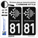 2 Stickers plaque immatriculation Auto 81 Occitanie Croix - Carbone-Style