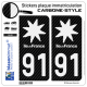 2 Stickers plaque immatriculation Auto 91 Île-de-France - Black Carbone-Style