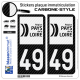 2 Stickers plaque immatriculation Auto 49 Pays de la Loire - LT bi-ton Carbone-Style